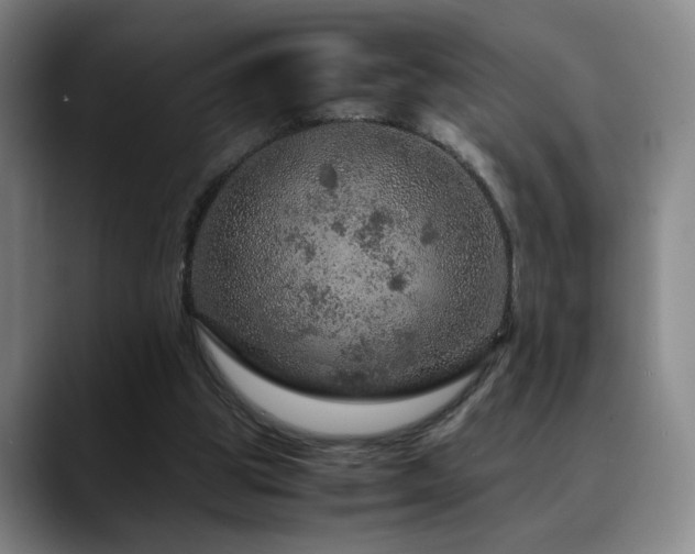X0000090600153200707171339