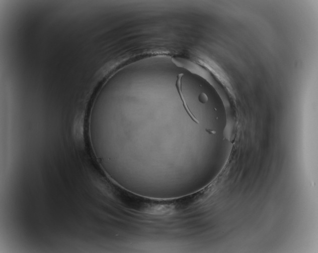 X0000090600155200707171339