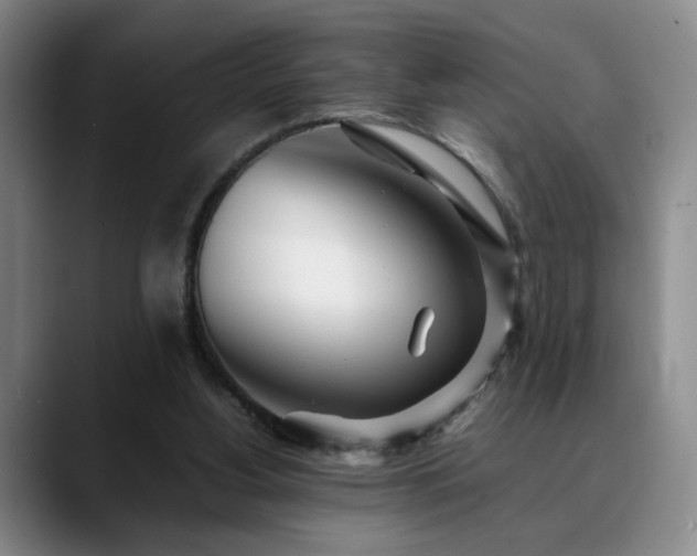 X0000090600156200707171339