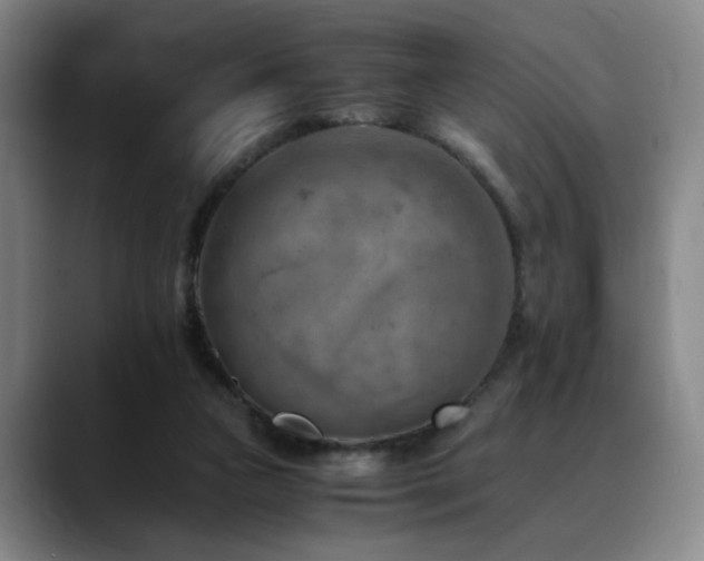 X0000090600161200707171339