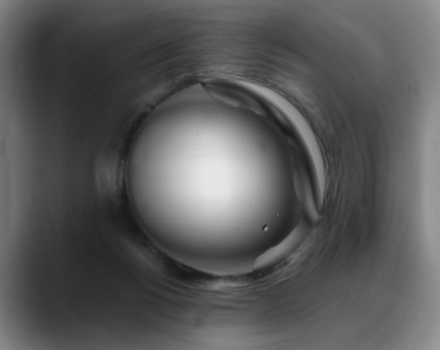 X0000090600168200707171339