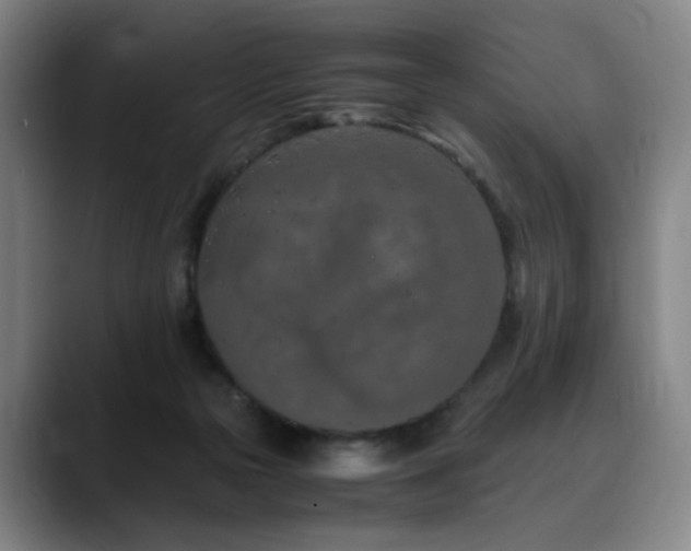 X0000090600169200707171339