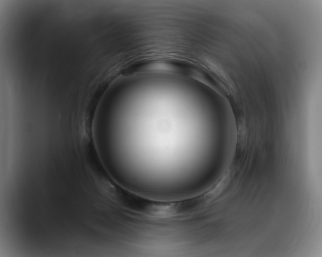 X0000090600170200707171339