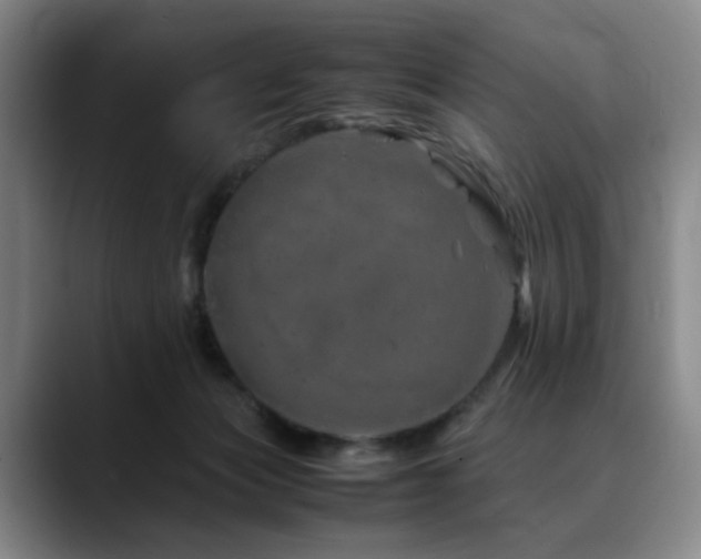 X0000090600173200707171339