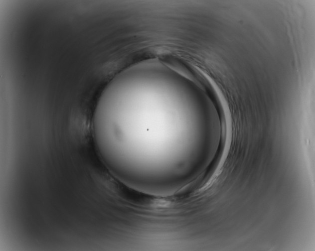 X0000090600176200707171339