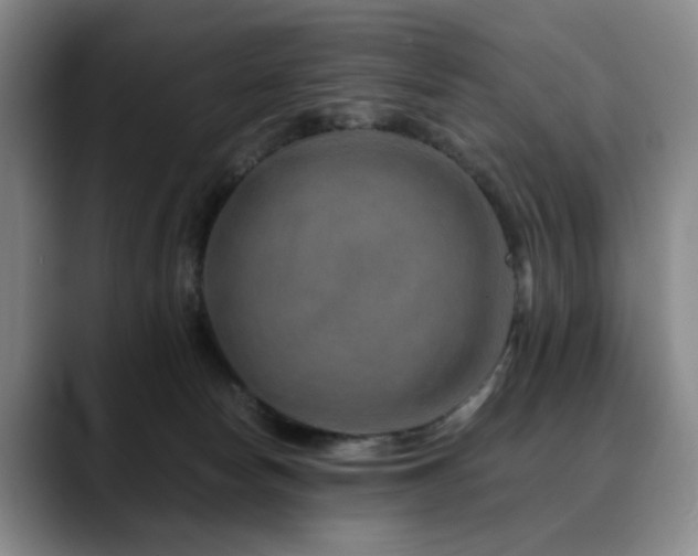 X0000090600178200707171339