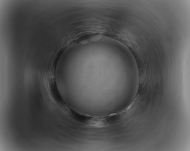 X0000090600179200707171339