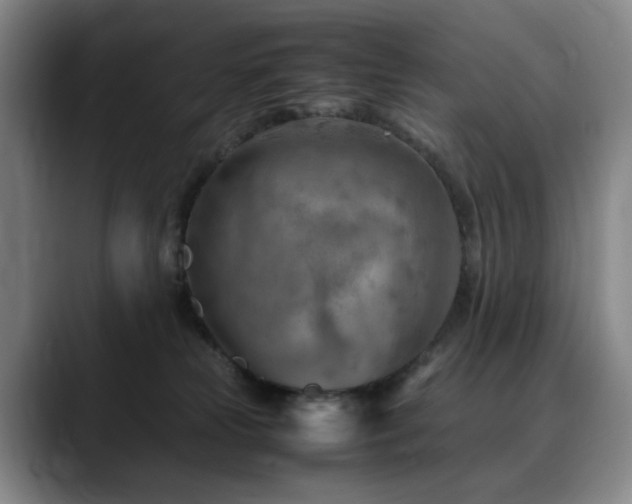X0000090600181200707171339