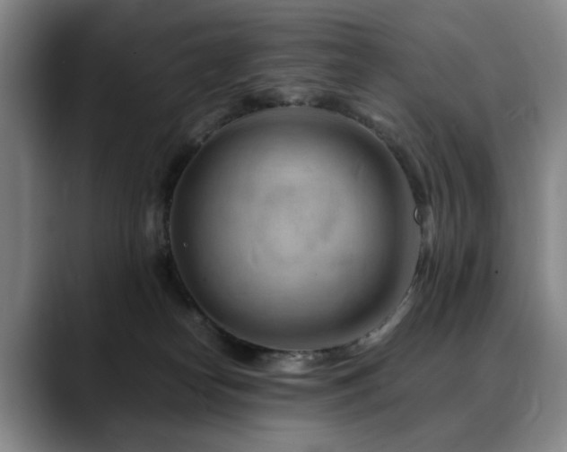 X0000090600182200707171339