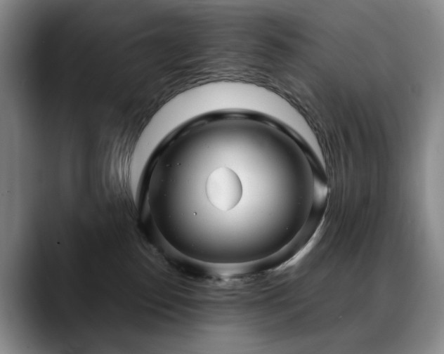 X0000090600186200707171339