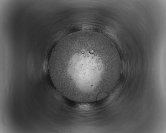 X0000090600189200707171339