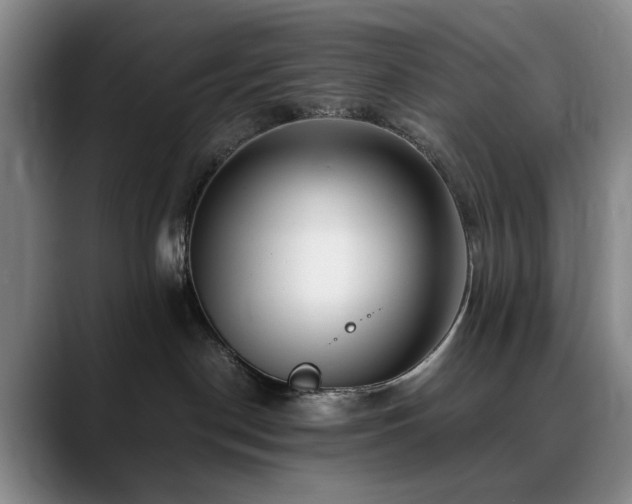X0000090600190200707171339