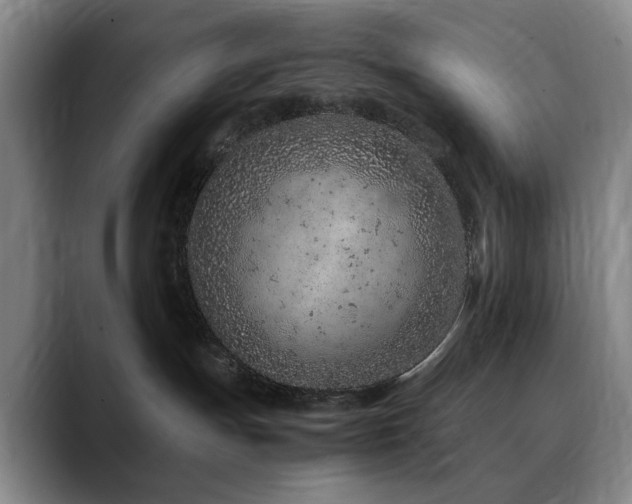 X0000090600191200707171339