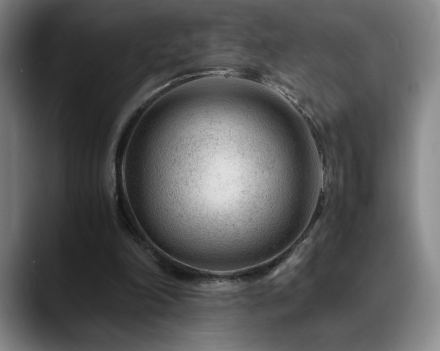 X0000090600198200707171339