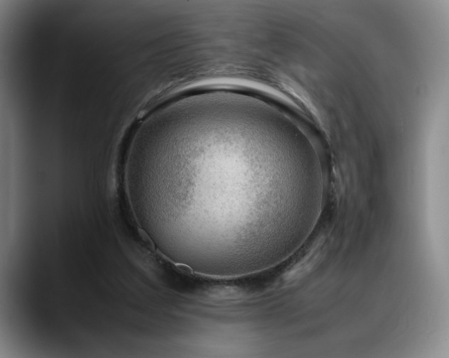 X0000090600203200707171339