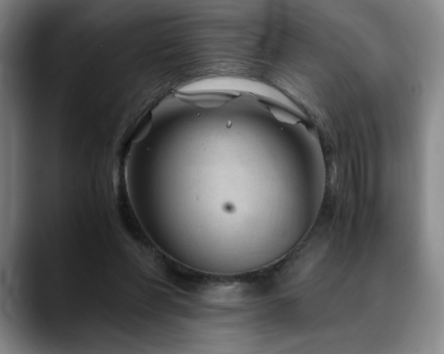 X0000090600206200707171339