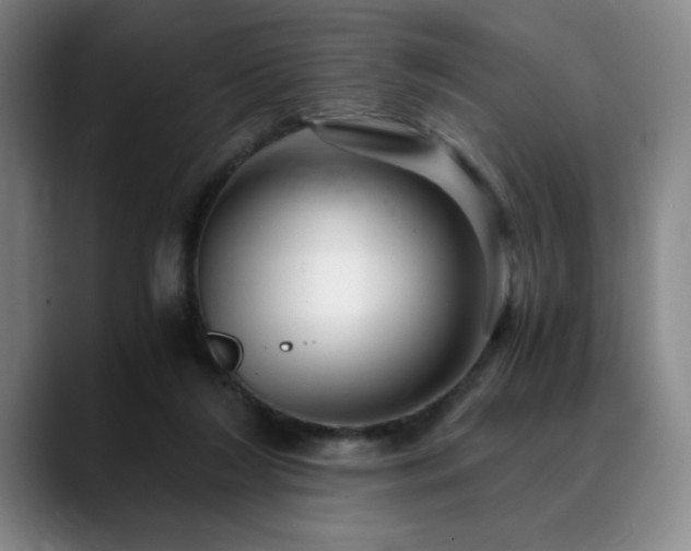 X0000090600212200707171339