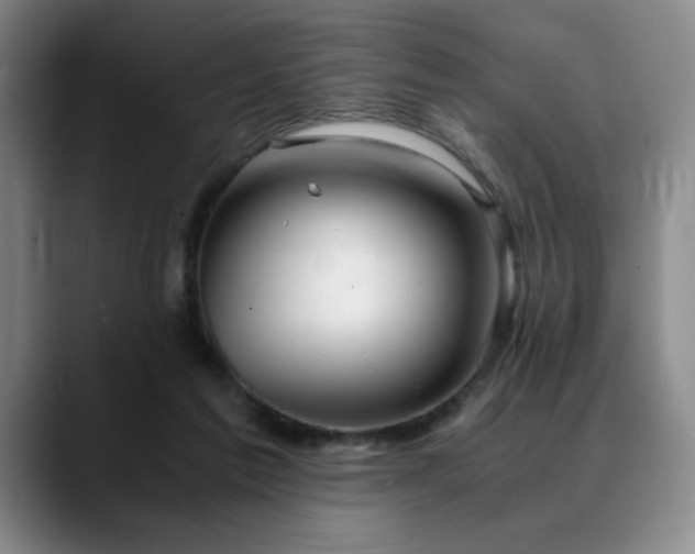 X0000090600213200707171339