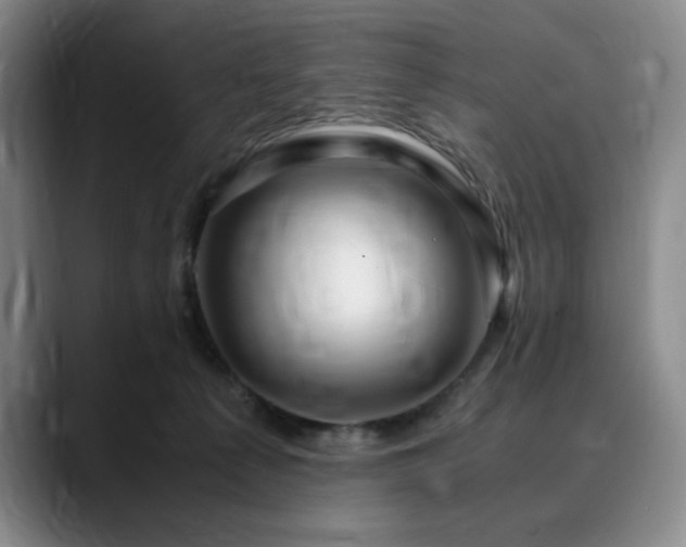X0000090600225200707171338