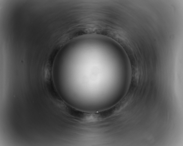 X0000090600226200707171338