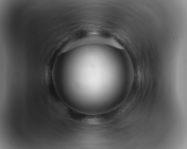 X0000090600228200707171338