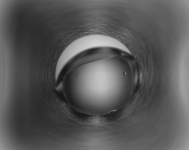 X0000090600231200707171338