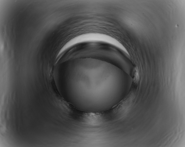 X0000090600239200707171338
