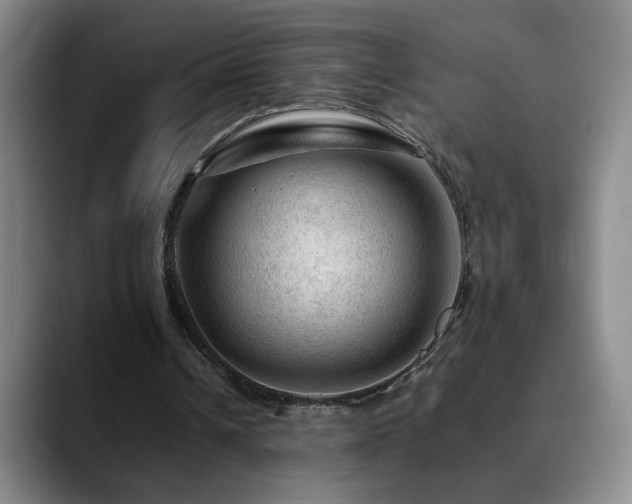 X0000090600242200707171338