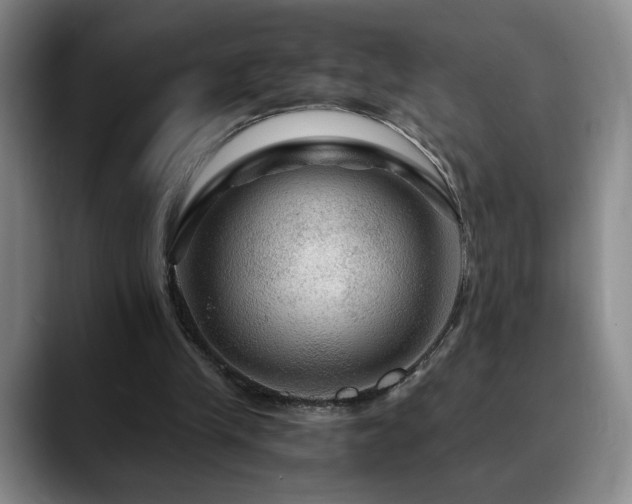 X0000090600245200707171338