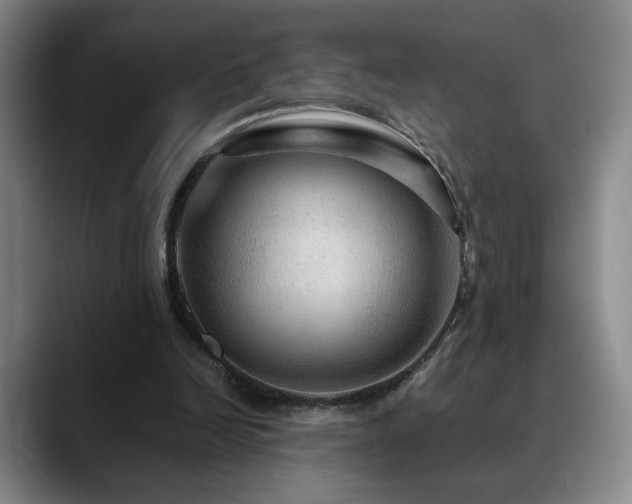X0000090600246200707171338