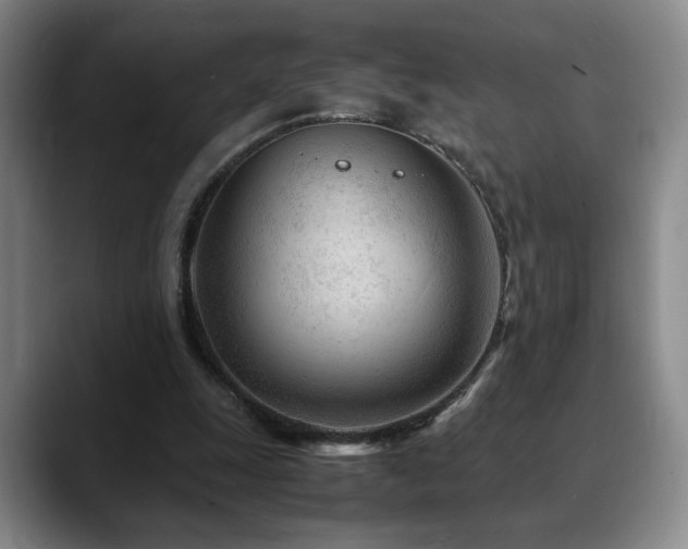 X0000090600247200707171338
