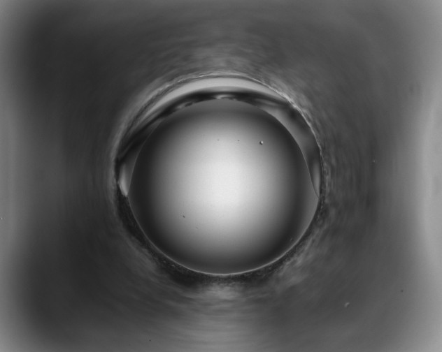 X0000090600248200707171338