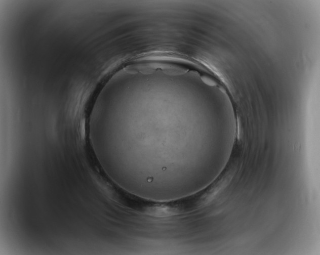 X0000090600253200707171338