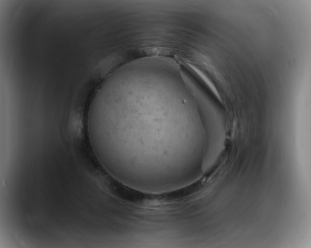 X0000090600259200707171338