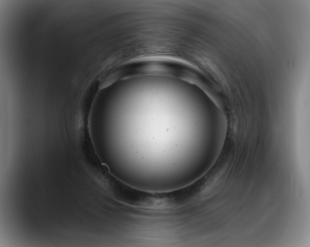 X0000090600260200707171338