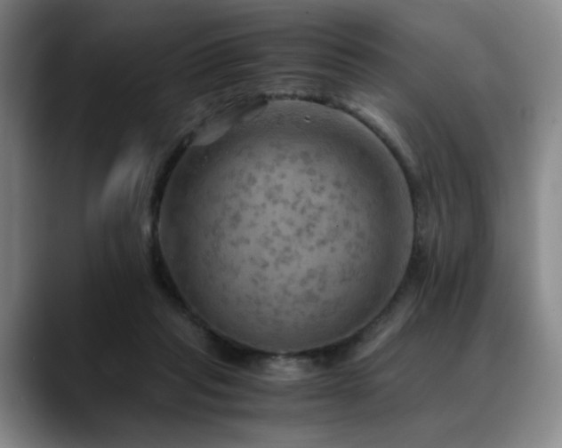 X0000090600261200707171338