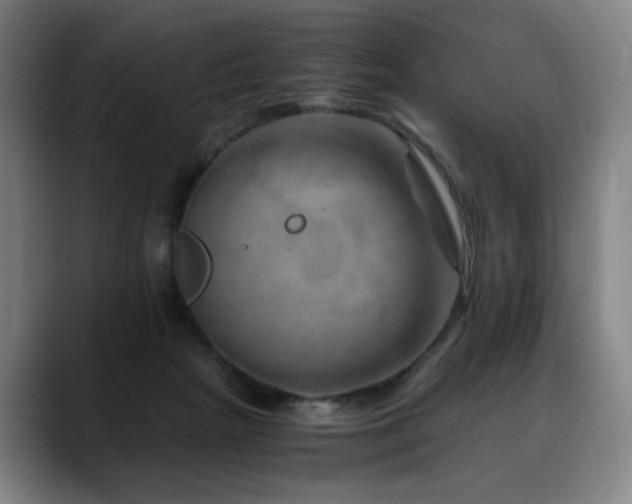 X0000090600265200707171338