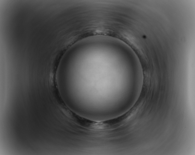 X0000090600269200707171338