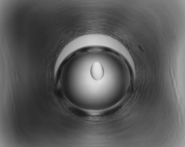 X0000090600272200707171338