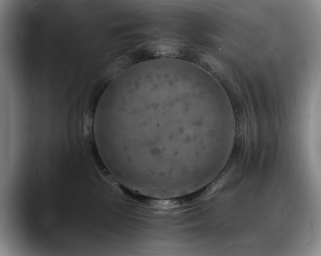 X0000090600281200707171338