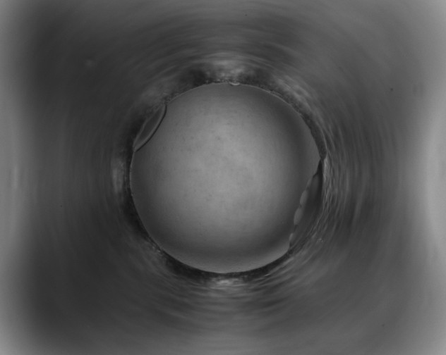 X0000090600283200707171338