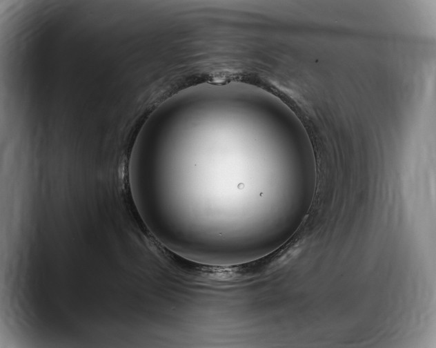 X0000090600288200707171338