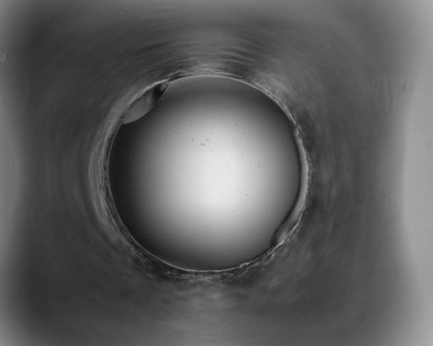 X0000090600289200707171338