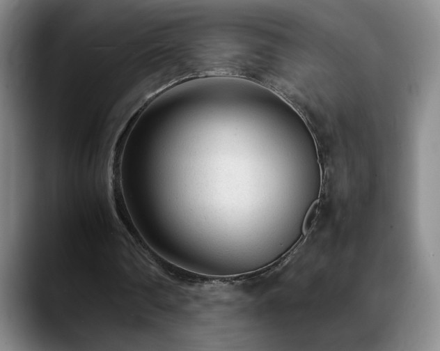 X0000090600290200707171338