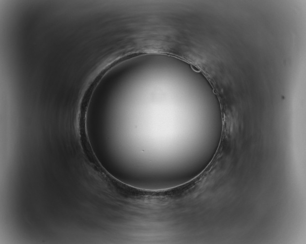 X0000090600292200707171338