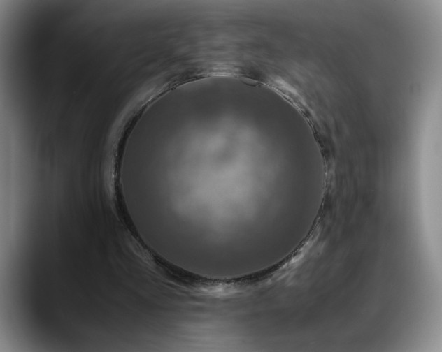 X0000090600293200707171338