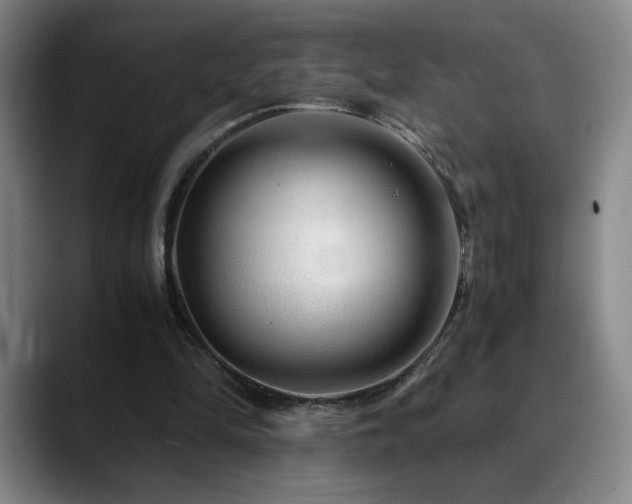 X0000090600294200707171338