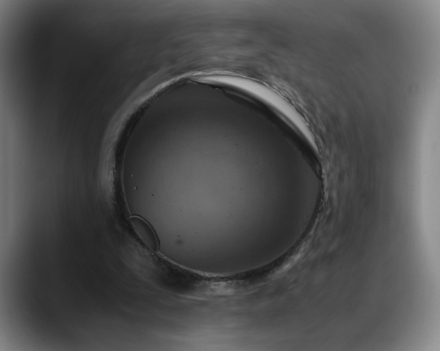 X0000090600295200707171337
