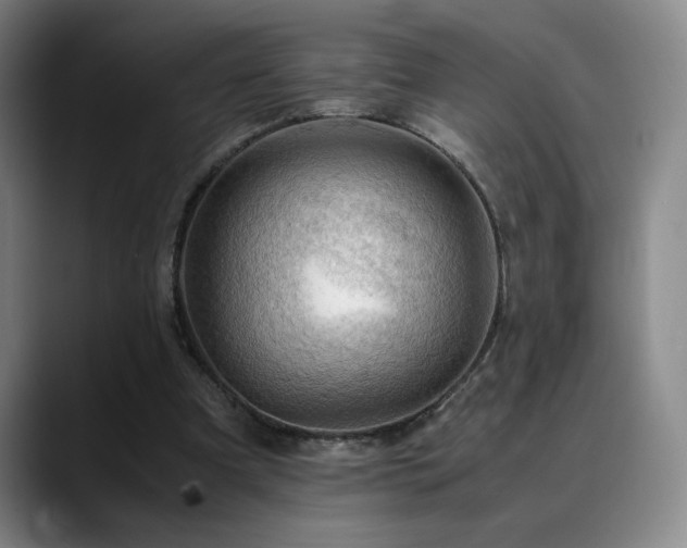 X0000090600297200707171337