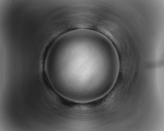 X0000090600299200707171337